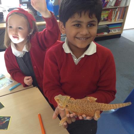 Exciting visit to the science lab